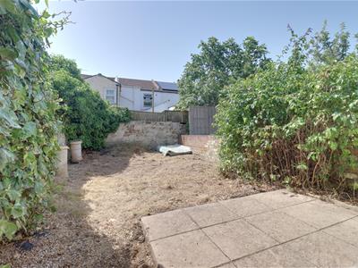 Picture 15
